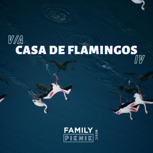 Casa De Flamingos IV (2021)