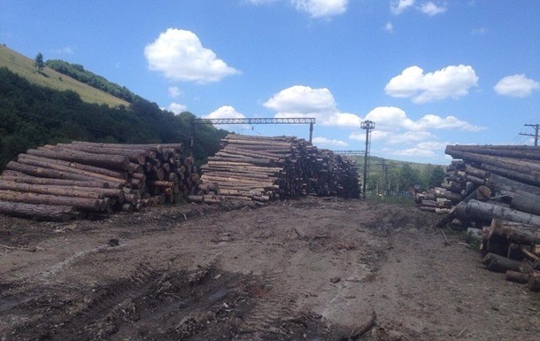 В Кабмине предлагают отказаться от моратория на экспорт леса