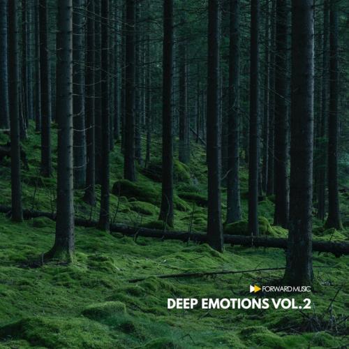Deep Emotions, Vol. 2 (2021) FLAC