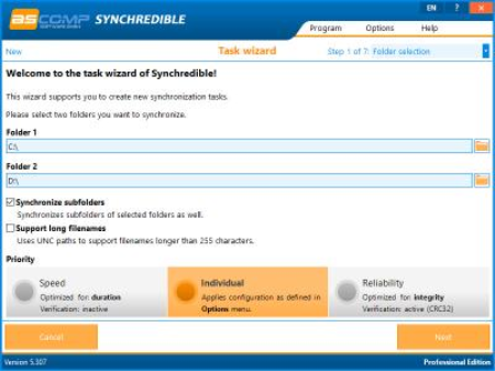 Synchredible Professional 7.100 Multilingual + Portable