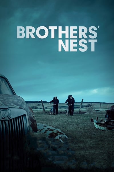 Brothers Nest (2018) 1080p WEBRip x265-RARBG