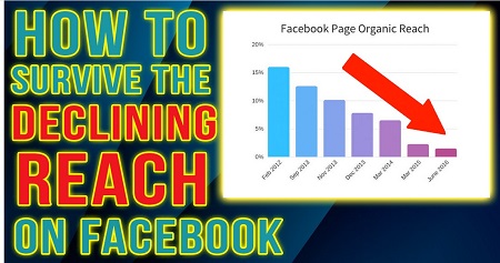 Facebook Page Organic Traffic Masterclass [Expensive Courses]