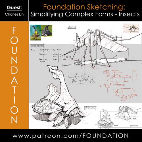 Foundation Patreon Sketching Simplifying Complex Forms - Insects