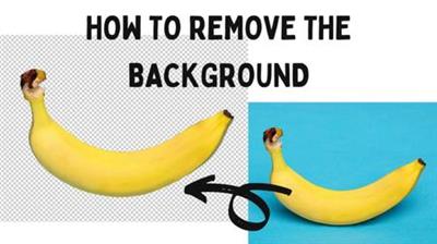 Background Removal, Photoshop Tutorial, How To Make A Selection, Selection Tools  Tutorial