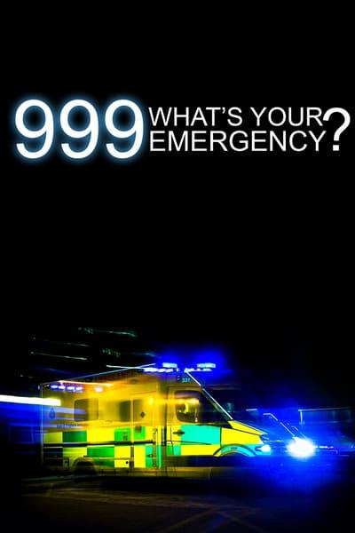 999 Whats Your Emergency S13E03 720p HEVC x265 