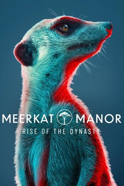 Meerkat Manor Rise of the Dynasty S01E03 720p HEVC x265 