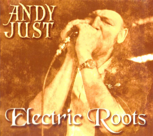 Andy Just - Electric Roots (2011) [lossless]