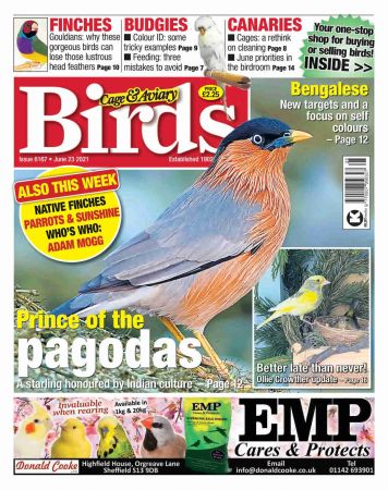 Cage & Aviary Birds   23 June 2021