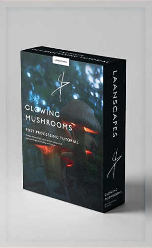 Laanscapes - The Magic Mushroom  Glowing Mushrooms Processing (by Daniel Laan)
