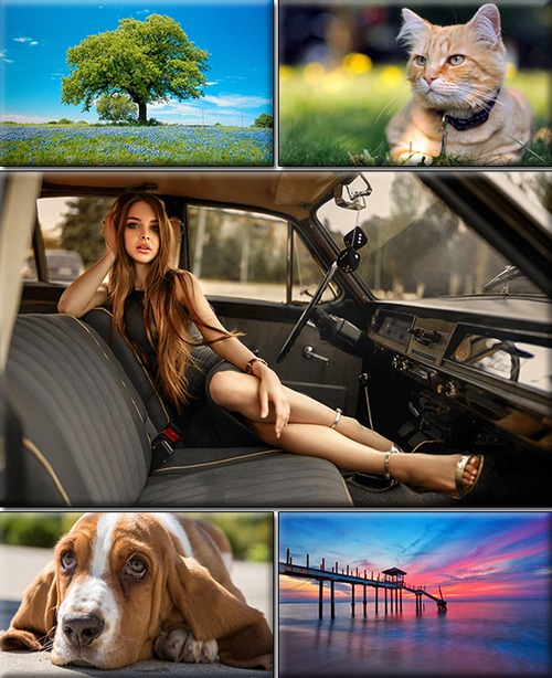 LIFEstyle News MiXture Images. Wallpapers Part (1826)