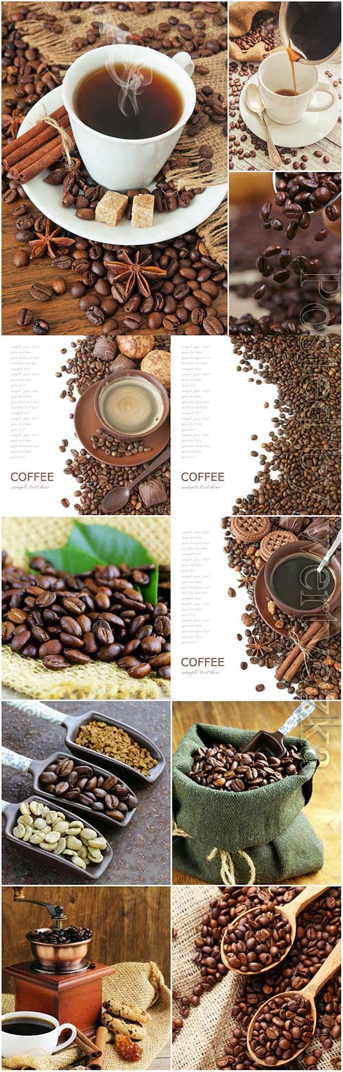 Coffee of different varieties stock photo