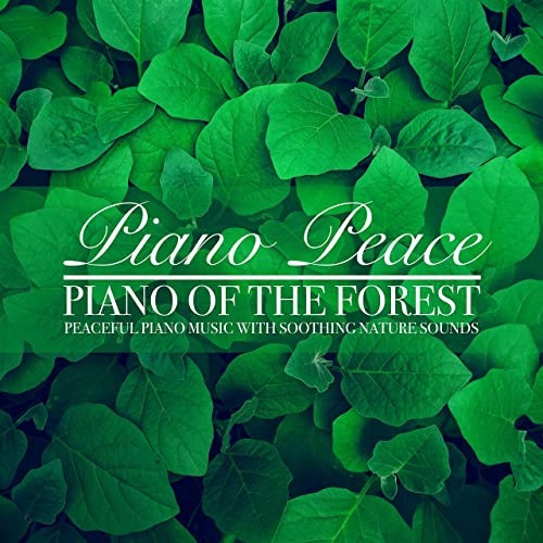 Piano Peace - Piano of the Forest (2021) FLAC