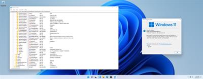 Windows 11 Version 21H2 Build 22000.51 Insider Preview » veverel.net