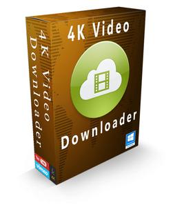 4K Video Downloader 4.16.5.4310 (x64) Multilingual