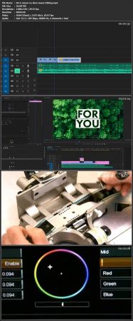 Video Editing Basics in Adobe Premiere  Pro