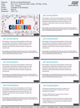 Professional life coach certification: coach  training