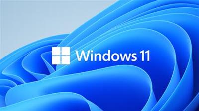 Windows 11 Pro Insider Preview v10.0.22000.51 (x64) Multilingual