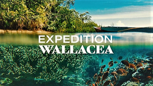 ZDF - Expedition Wallacea (2007)