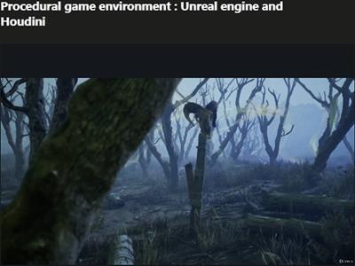 Udemy - Procedural Game Environment - Unreal Engine and Houdini