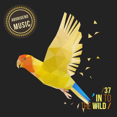 In To The Wild - Vol. 37 (2021) FLAC