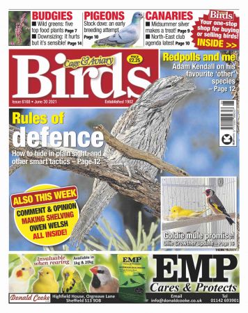Cage & Aviary Birds   June 30, 2021