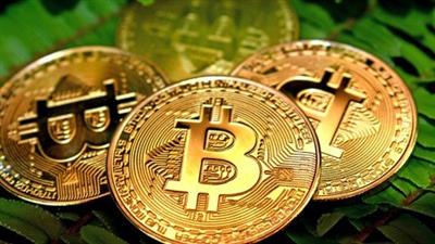 Udemy - Investing in Bitcoin