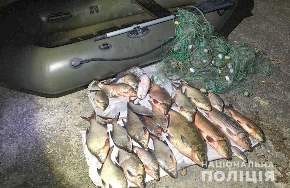 Вісті з Полтави - За три місяці операції «Нерест 2021» зафіксовано понад мільйона збитків внаслідок беззаконного вилову риби