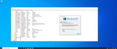 Windows 10 Version 1909 Build 18363.1621 Business & Consumer Editions