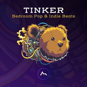 ADSR Sounds Tinker Bedroom Pop & Indie Beats WAV Serum  Presets