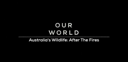 BBC Our World - Australia's Wildlife After the Fires (2021)
