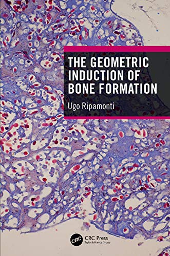 The Geometric Induction of Bone Formation