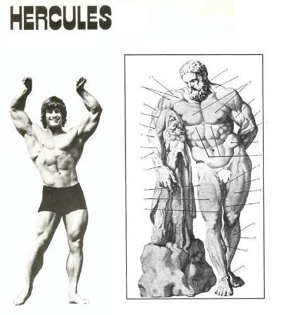 Hercules Bodybuilding System