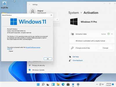 Windows 11 Pro Build 22000.51 Dev (TPM 2.0 Compliant) With Office 2019 Pro Plus  Preactivated