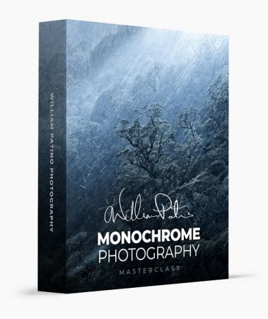 William Patino Photography - Monochrome Photography [2021]