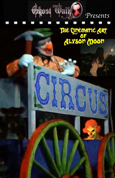 Circus (2020) 1080p WEBRip x264-RARBG