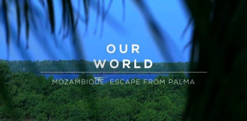 BBC Our World - Mozambique Escape from Palma (2021)