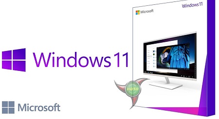 Windows 11 Pro Build 22000.51 Dev (TPM 2.0 Compliant) With Office 2019 Pro Plus Preactivated x64 ...
