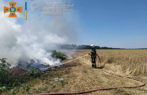 Вісті з Полтави - На Полтавщині за добу вигоріло півгектара сухої трави та сміття