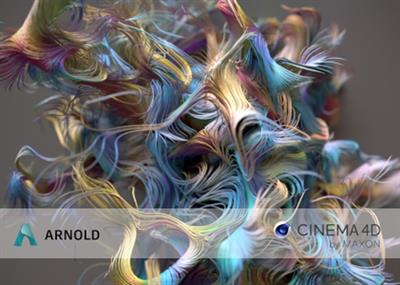 Solid Angle Cinema 4D to Arnold 3.3.7.1 Win/MacOs