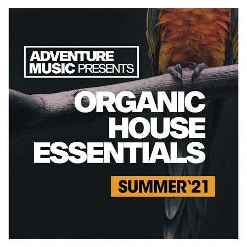 VA - Organic House Essentials (Summer '21) (2021)
