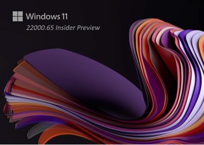 Windows 11 Version 21H2 Build 22000.65 Insider Preview