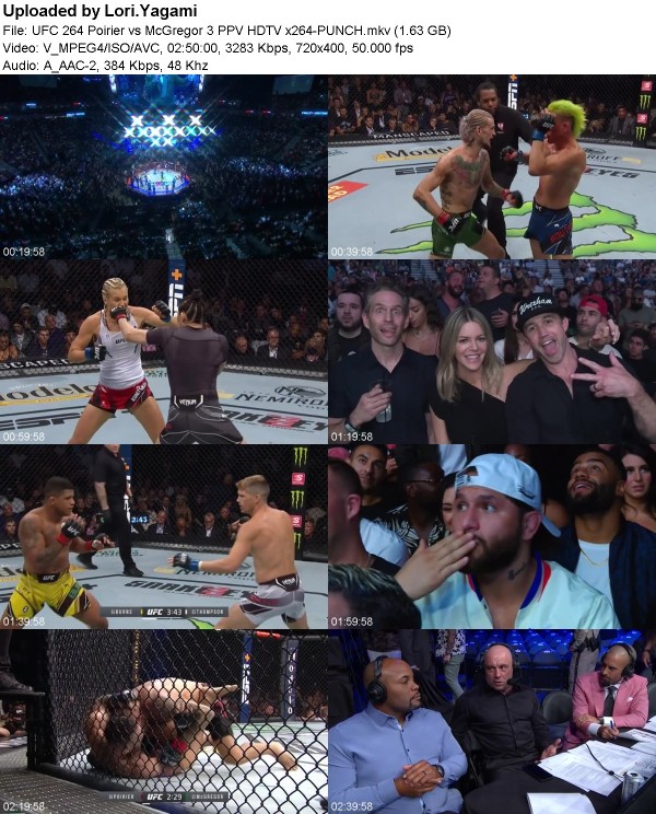 UFC 264 Poirier vs McGregor 3 (2021) PPV HDTV x264-PUNCH