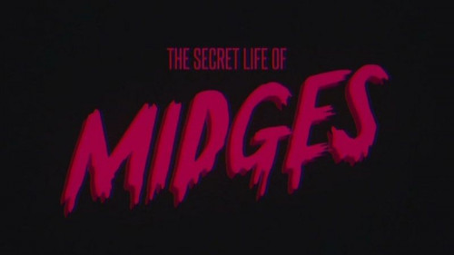 BBC - The Secret Life of Midges (2015)