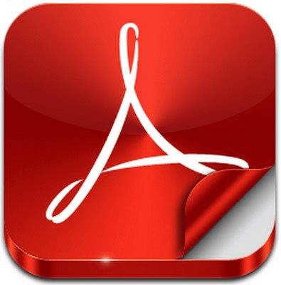 Adobe  Acrobat Reader DC 2021.005.20058