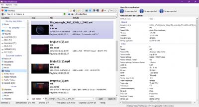 3delite Video File Browser v1.0.10.48 (x64)