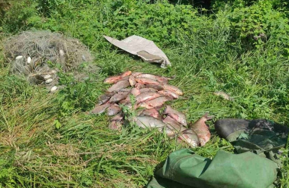 Вісті з Полтави - На Кременчуцькому водосховищі затримали браконьєра, який наловив риби на 6000 грн