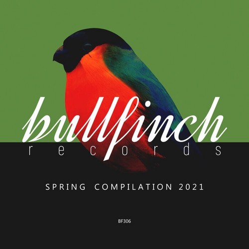 VA - Bullfinch Spring 2021 Compilation (2021)