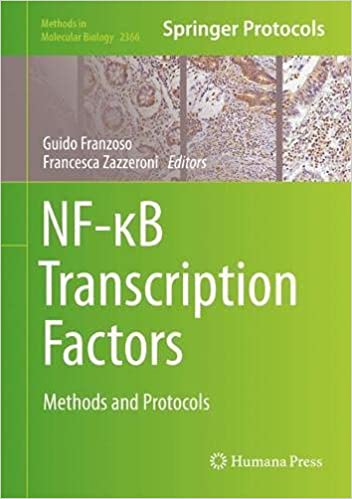 NF κB Transcription Factors: Methods and Protocols