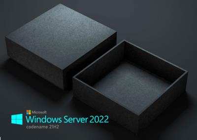 Windows Server 2022 LTSC version 21H2 Build 20348.112 Preview