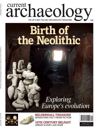 Current Archaeology   Issue 229, 2009